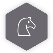 Digital Strategy Services