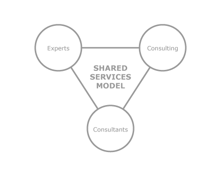 shared_services_model_diagram.png