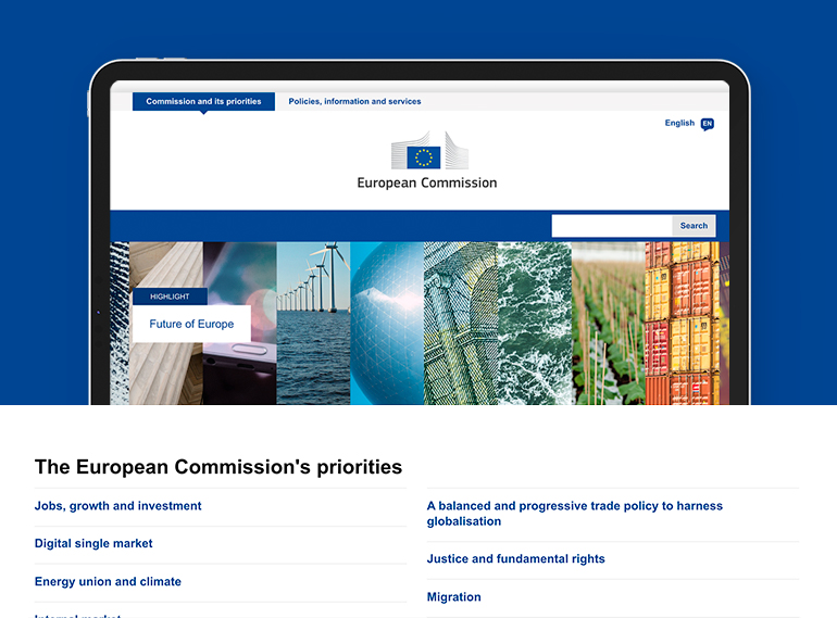 European Commission Case Study