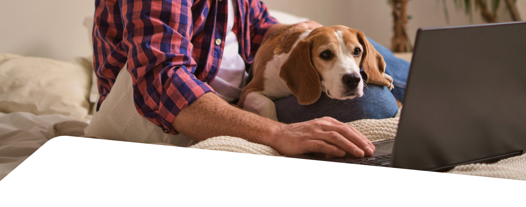NVA - National Veterinary Associates