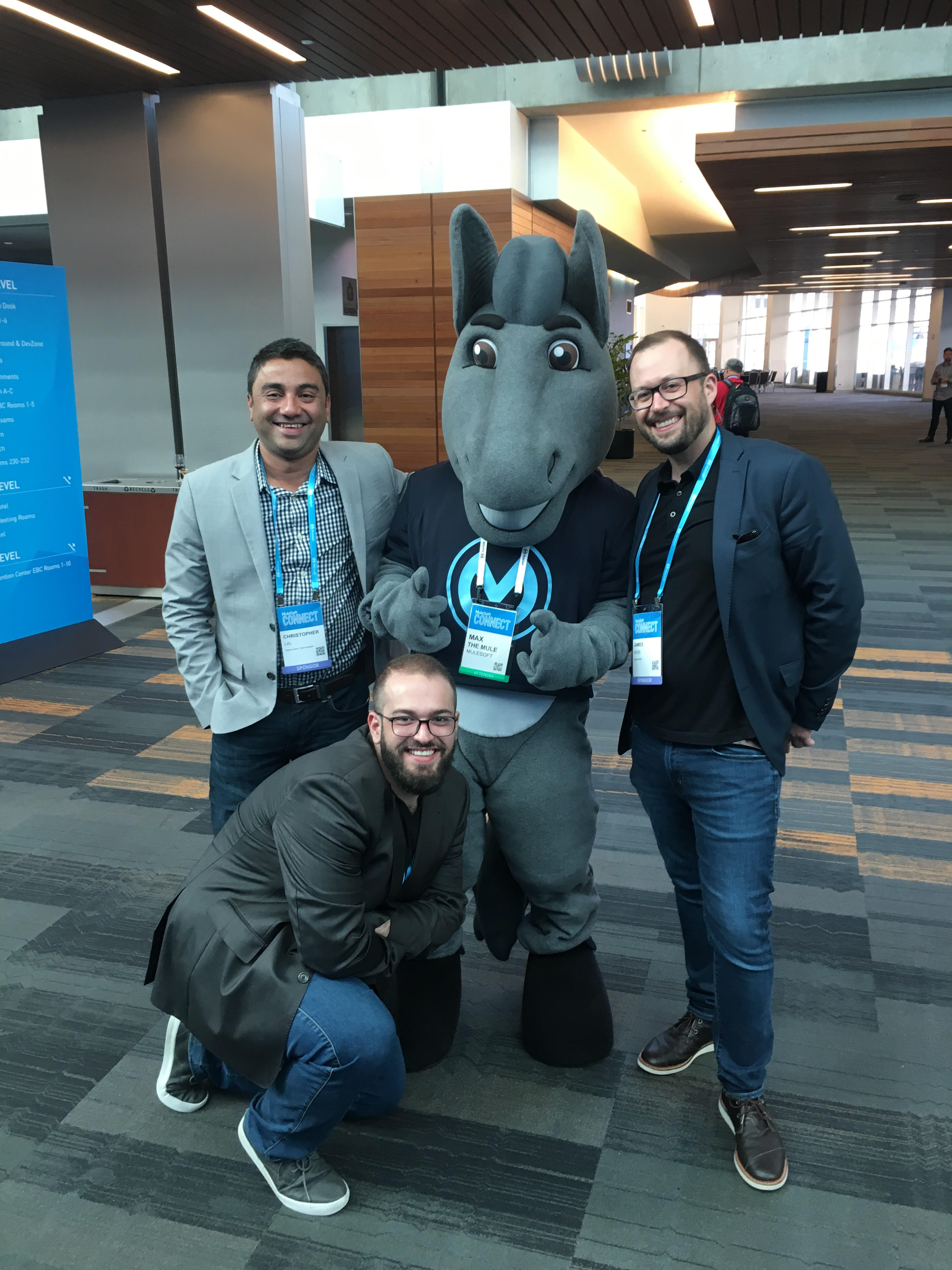 MuleSoft Mule.jpg